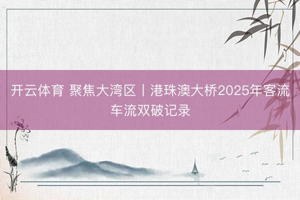 开云体育 聚焦大湾区丨港珠澳大桥2025年客流车流双破记录