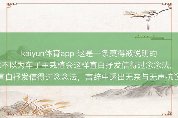 kaiyun体育app 这是一条莫得被说明的音书，天然是大真话，我不以为车子主栽植会这样直白抒发信得过念念法，言辞中透出无奈与无声抗议
