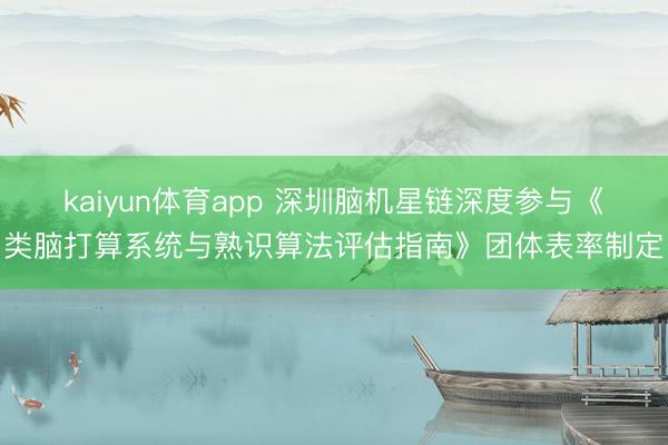 kaiyun体育app 深圳脑机星链深度参与《类脑打算系统与熟识算法评估指南》团体表率制定