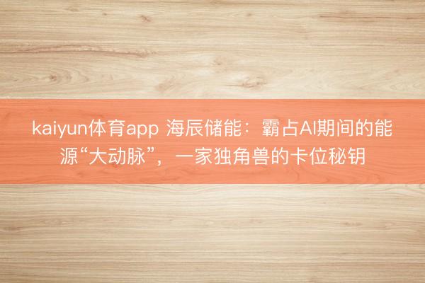 kaiyun体育app 海辰储能：霸占AI期间的能源“大动脉”，一家独角兽的卡位秘钥