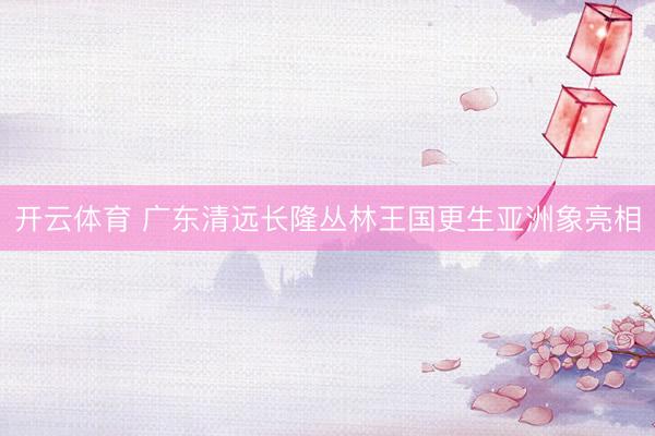 开云体育 广东清远长隆丛林王国更生亚洲象亮相
