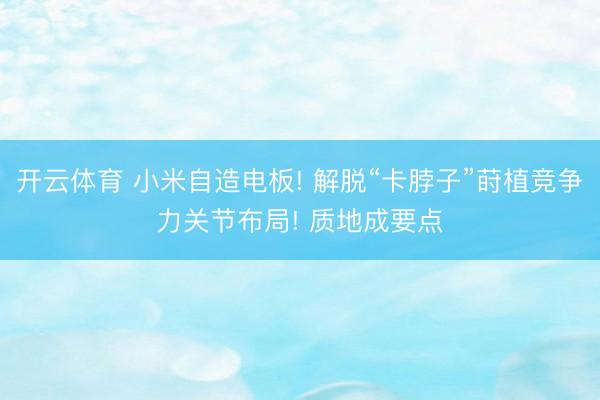 开云体育 小米自造电板! 解脱“卡脖子”莳植竞争力关节布局! 质地成要点